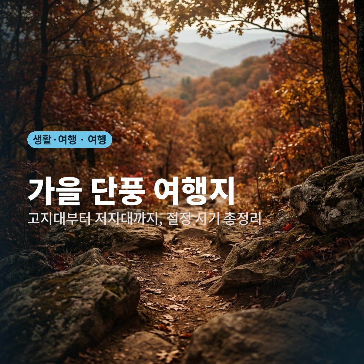 올가을 단풍, 어디로 보러 가면 좋을까요? 시기별 추천 5곳