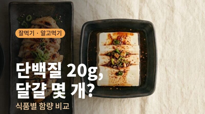 단백질 20g, 달걀 몇 개일까요｜식품별 단백질 함량 한 장 정리
