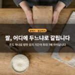 쌀, 어디에 두느냐로 갈립니다 - 쌀을 그릇에 붓는 실사진 기반 대표 이미지
