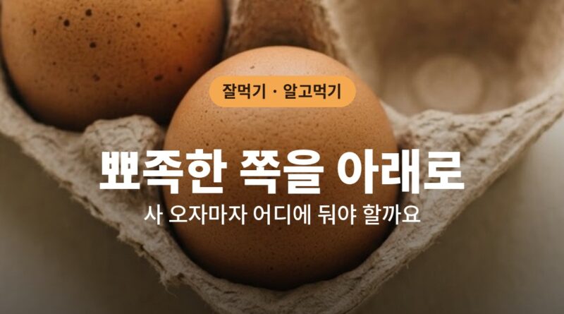 계란판에 담긴 계란, 뾰족한 쪽을 아래로 보관하는 모습
