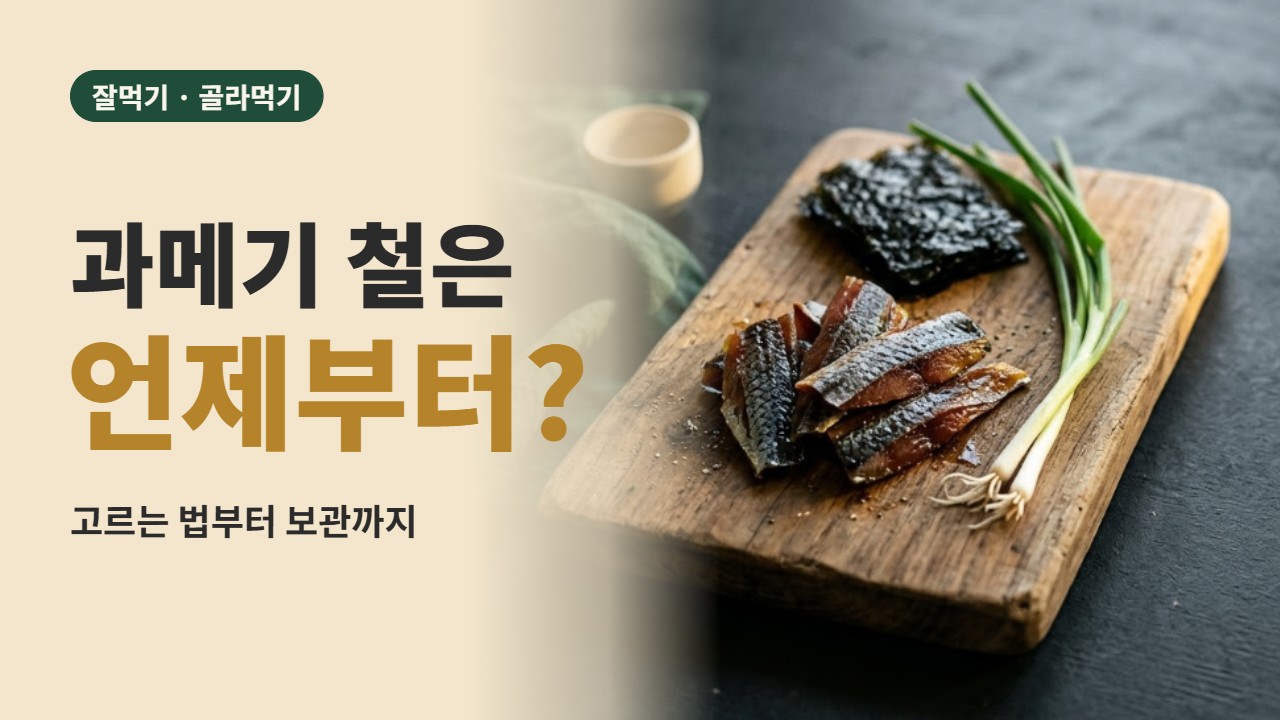과메기 철은 언제부터일까｜공식 자료로 본 시기와 보관법
